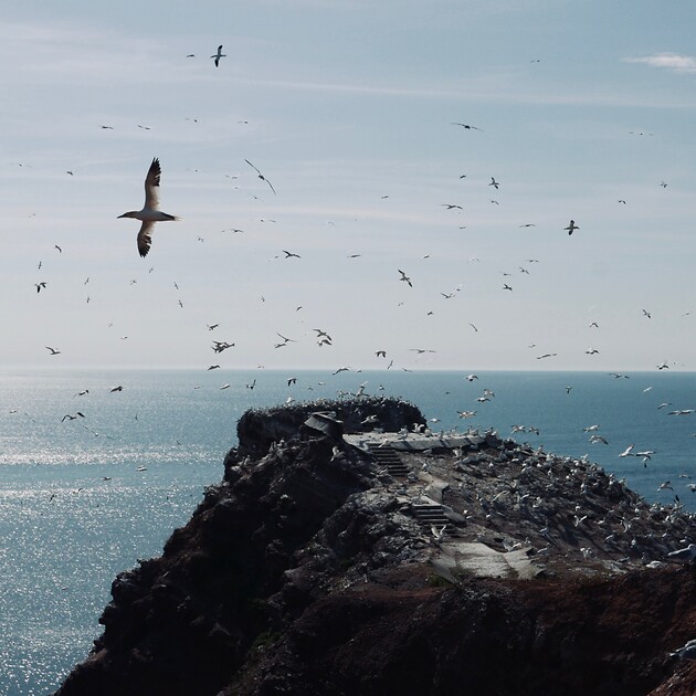 Kinostart: VOGELPERSPEKTIVEN